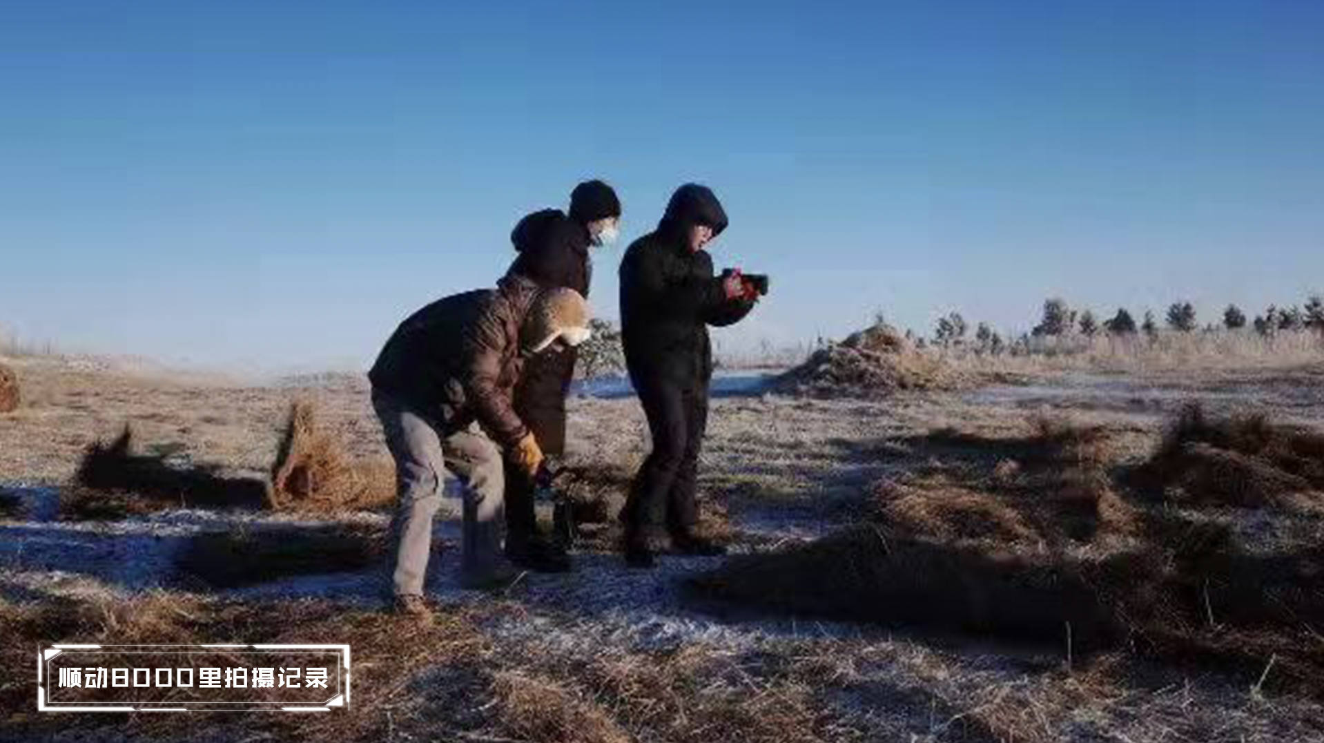 呼倫貝爾大草原VS南方以南濱海公園