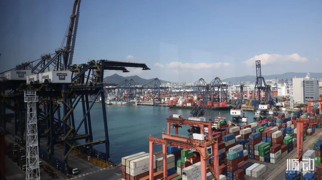 順動(dòng)香港拍攝vlog，體驗(yàn)感滿滿~